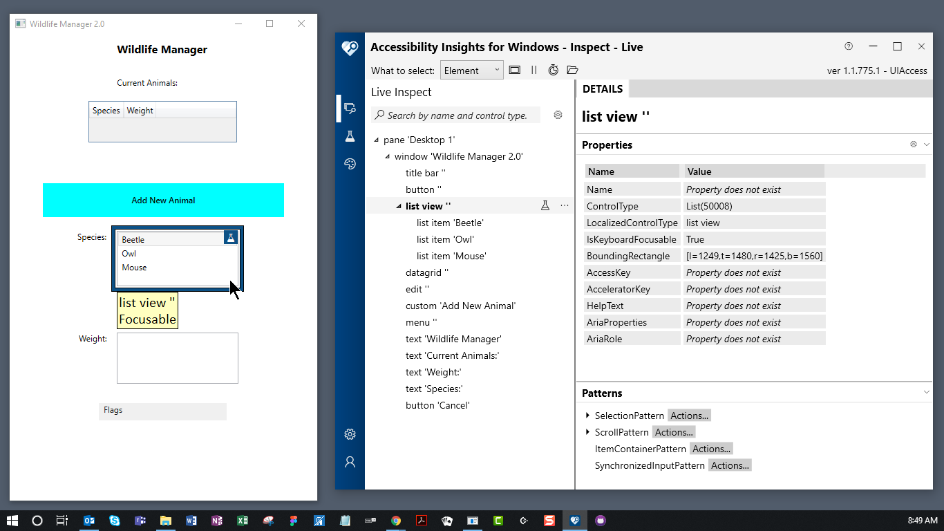 target application and Accessibility Insights for Windows
